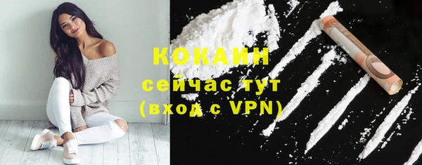 ECSTASY Ельня