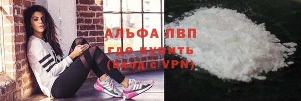 ECSTASY Ельня