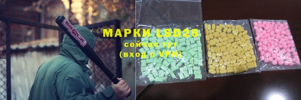 ECSTASY Ельня