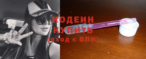 амф Елизово