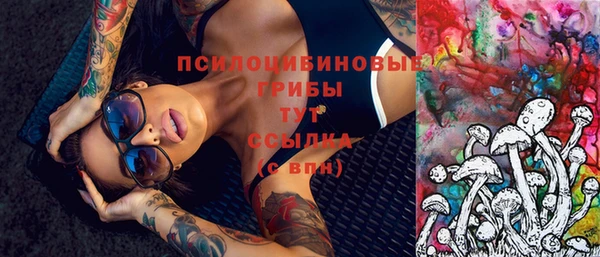 ECSTASY Ельня