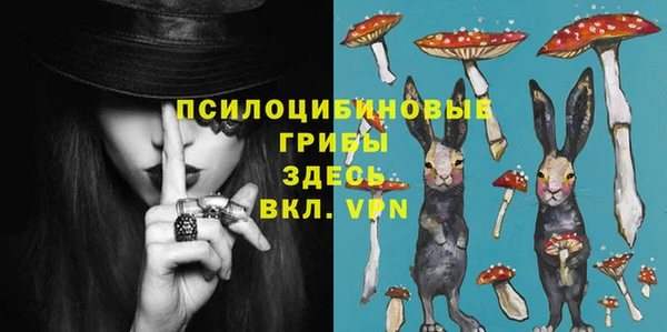 ECSTASY Ельня