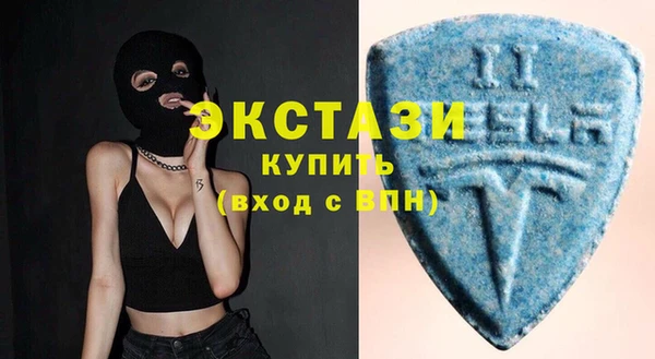 ECSTASY Ельня