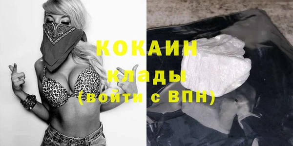 ECSTASY Ельня