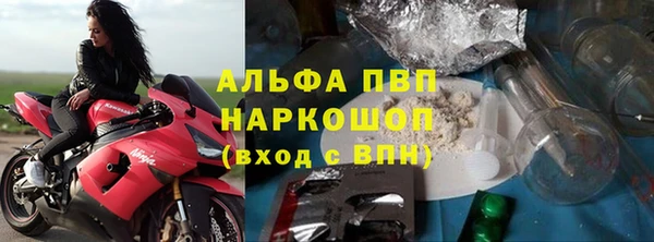 ECSTASY Ельня
