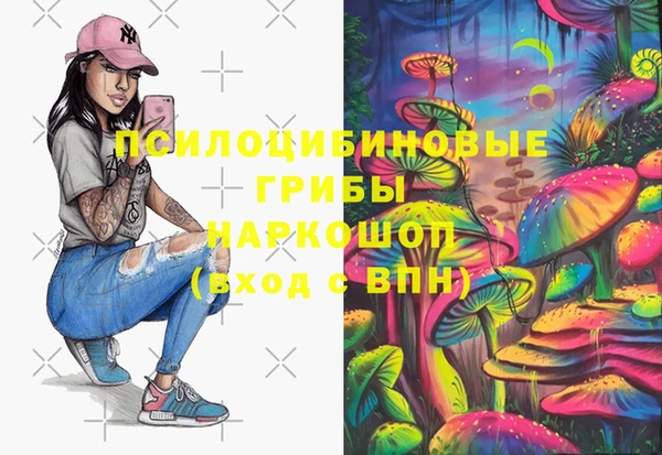 трава Елабуга